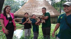 Solo Safari Lestarikan Satwa Liar dengan Pamerkan Bayi Harimau Benggala