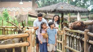 Libur Sekolah Tiba, Royal Safari Garden Tawarkan Paket Liburan Seru dan Edukatif
