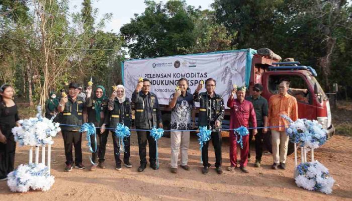 Holding UMKM Dorong Lada Putih Muntok Naik Kelas ke Pasar Global