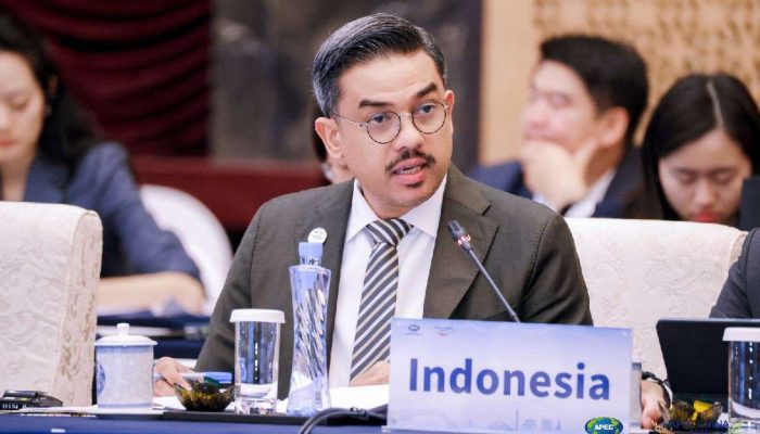 Indonesia Dorong Pembiayaan Inklusif UMKM di Forum APEC