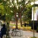 By the River Film Festival Vol. 3 Dorong PIK 2 Jadi Ruang Interaksi Industri Kreatif